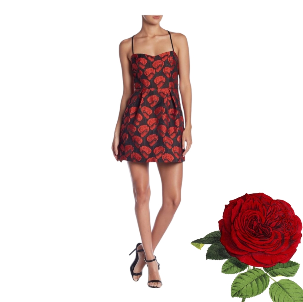SMALL RED ROSE MINI DRESS - Picture 2 of 13